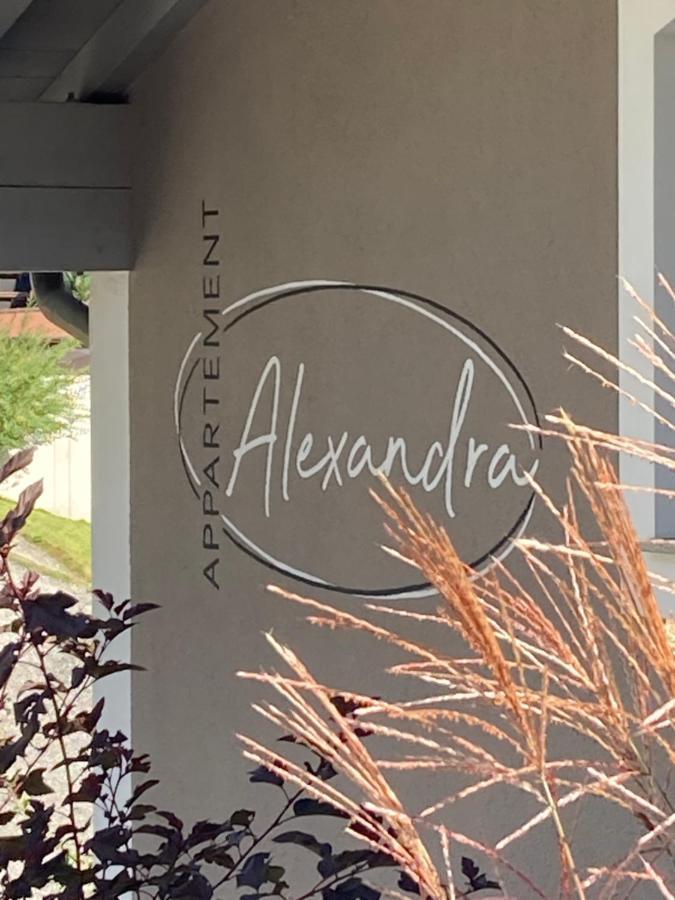 Appartement Alexandra Neukirchen am Großvenediger Exteriér fotografie